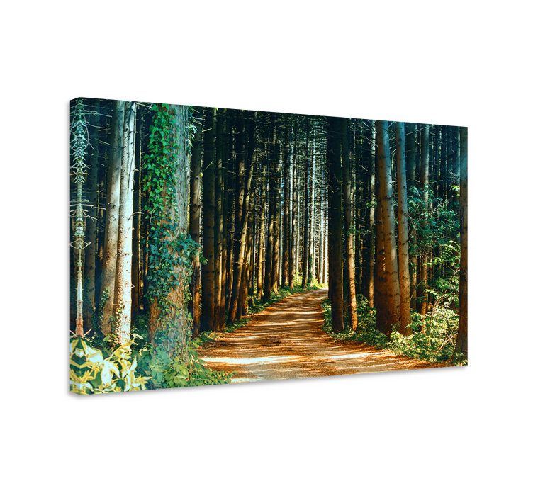 Wandbilder landschaft waldweg - TenStickers