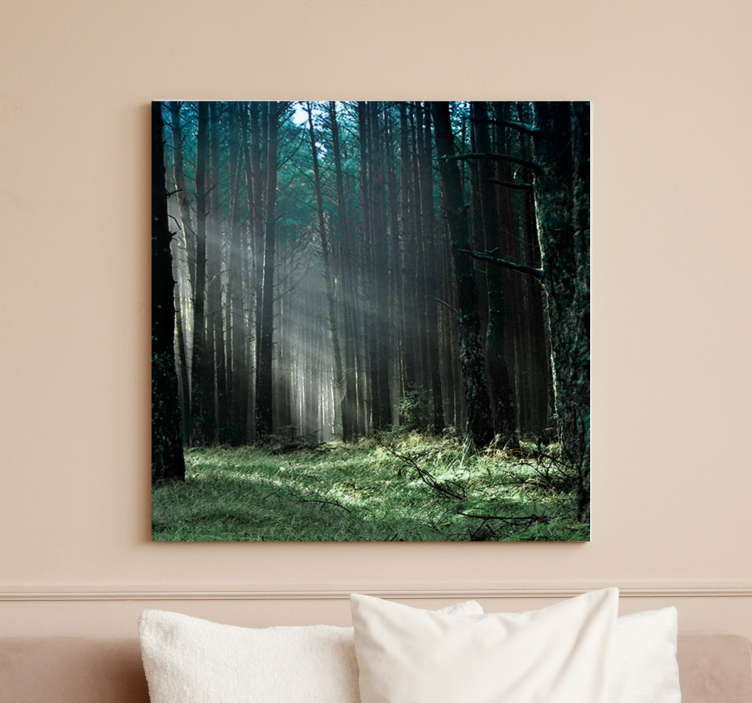 Wandbild Baum mystisches waldlicht - TenStickers