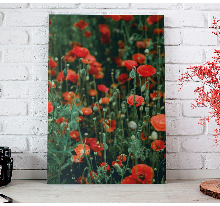 Leinwandbild rotes wildblumenfeld - TenStickers