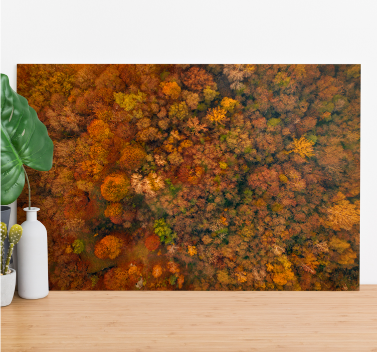 Wandbild baum herbstwald-dach - TenStickers