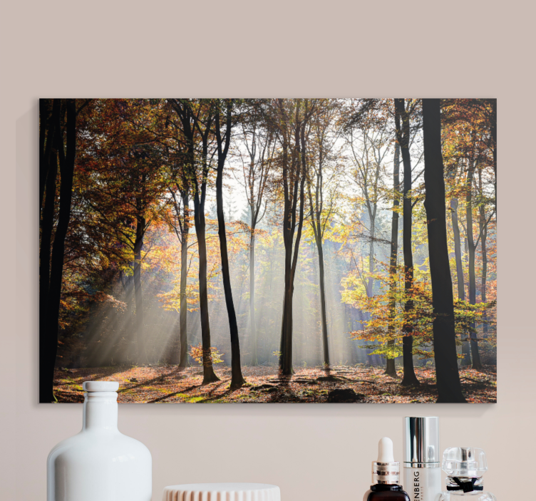 Wandbilder landschaft mit lichtstrahlen im wald - TenStickers