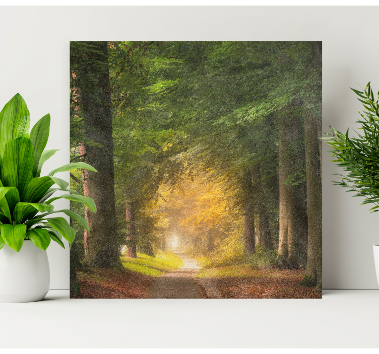 Wandbilder landschaft waldweg ruhe - TenStickers