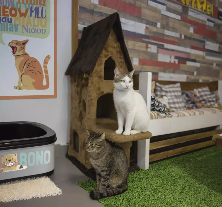 Wandtattoo Katzen katzenstreu-Boxname - TenStickers