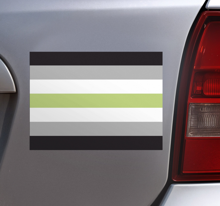 Autoaufkleber agender-flagge - TenStickers