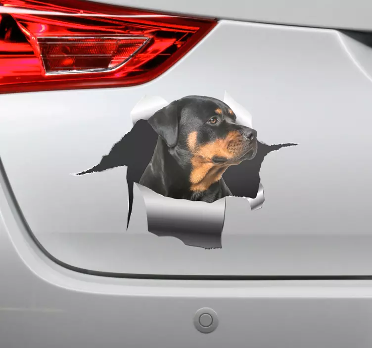 Wandtattoo Haustier Rottweiller lochaufkleber - TenStickers