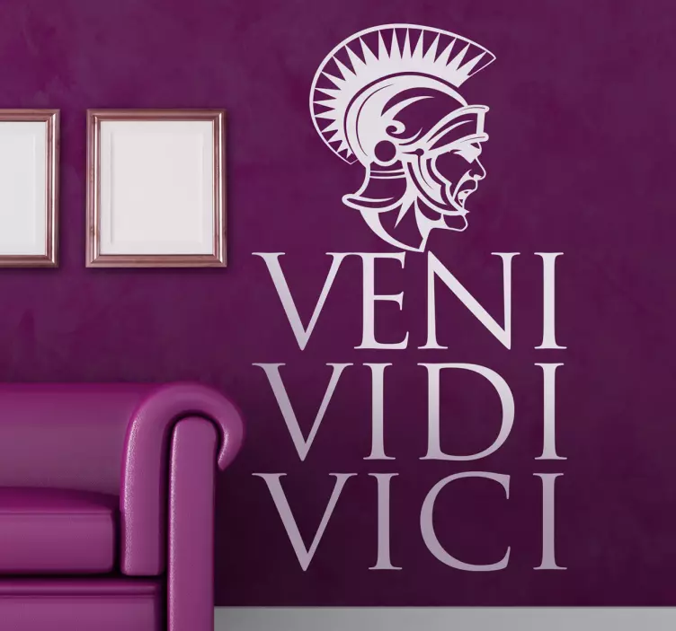 Veni vidi vici Aufkleber - TenStickers