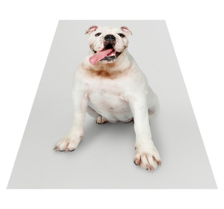 Vinyl Teppich Tiermuster glückliches bulldoggenporträt - TenStickers