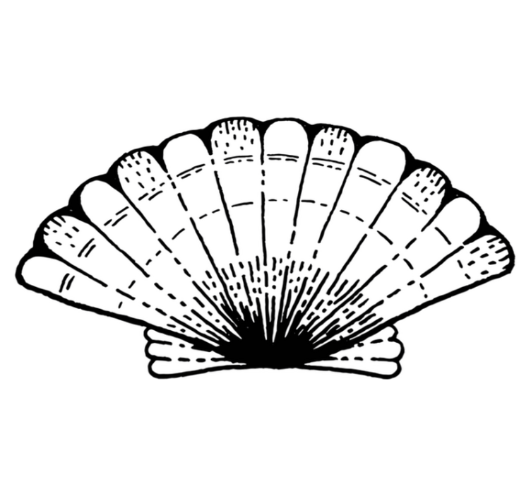 Vinylteppich Meerestiere Muschel - TenStickers