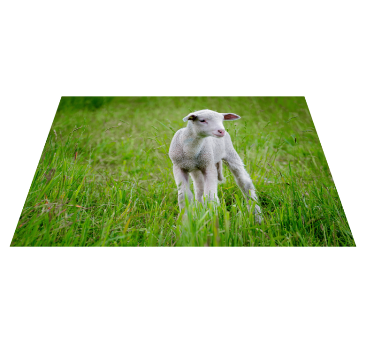 Vinylteppich Tiere Tier niedliches lamm - TenStickers