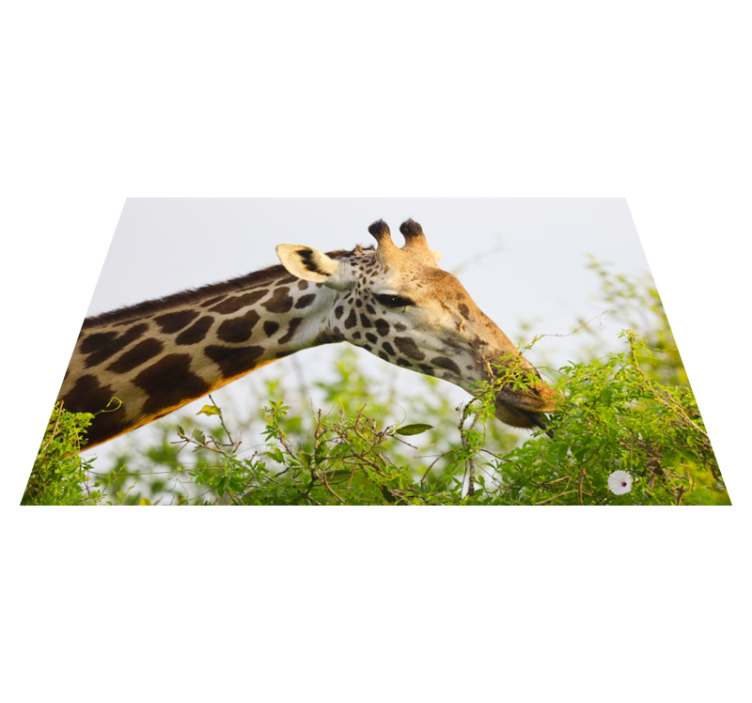 Vinylteppich Tiere Tier große giraffe vinyl teppich - TenStickers