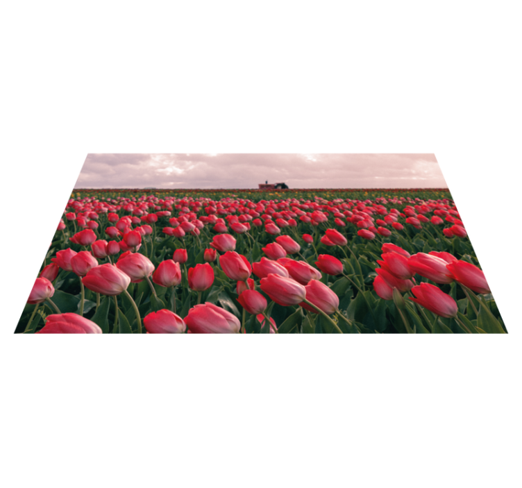Vinyl Teppich Natur lebendiges tulpenfeld - TenStickers