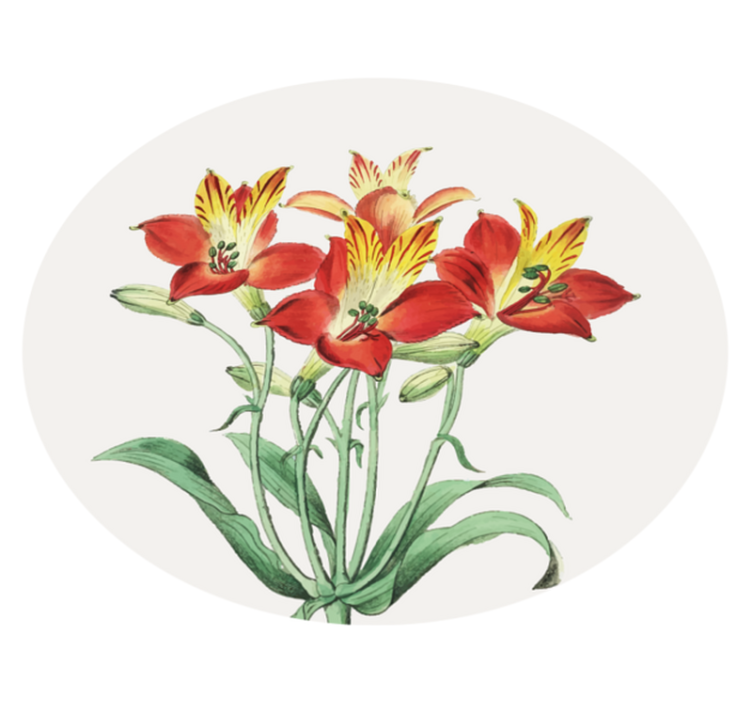 Vinyl Teppich Blumen lebendige rote blüten - TenStickers