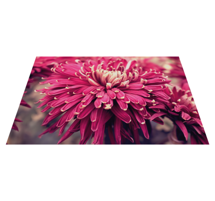 Vinyl Teppich Blumen realistische chrysantheme - TenStickers