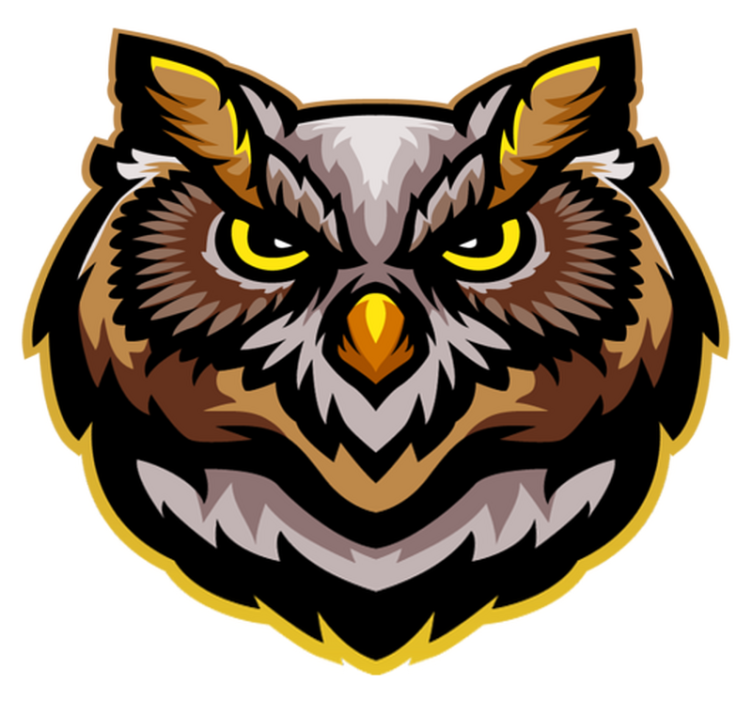 Vinyl Teppich Tiere eulengesichtskunst - TenStickers