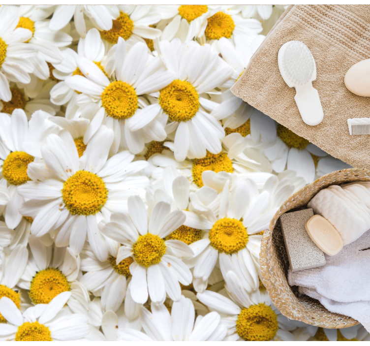 Vinyl Teppich Bad gänseblümchenblüten-konzept - TenStickers