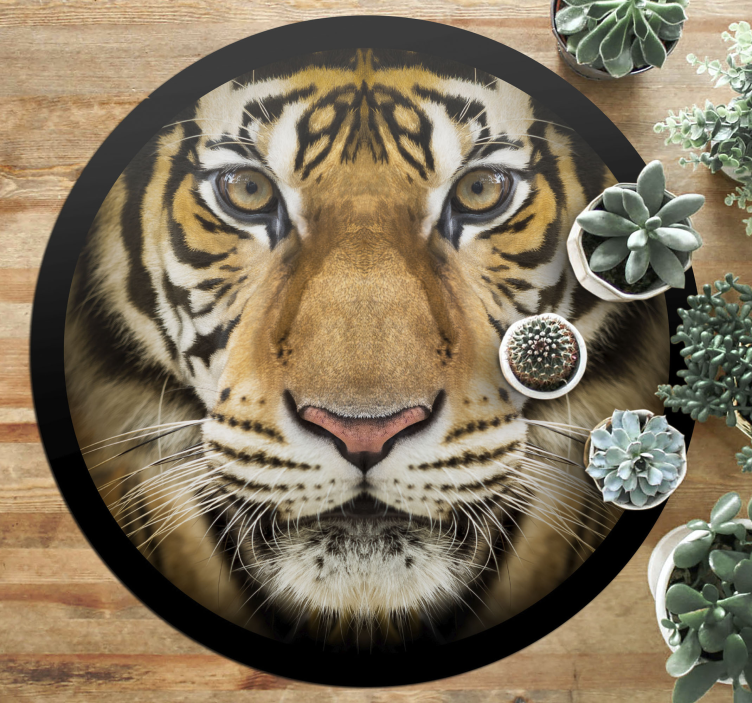 Vinyl Teppich Tiere tiger-nahaufnahme - TenStickers