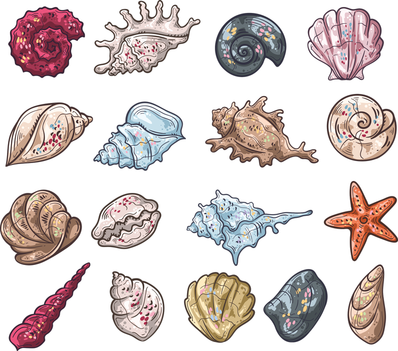 Vinyl teppich tiere muschelmuster skizzen - TenStickers