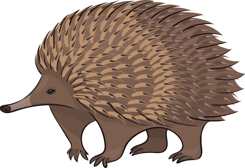 Vinyl teppich tiere mit freundlichem igel charakter - TenStickers