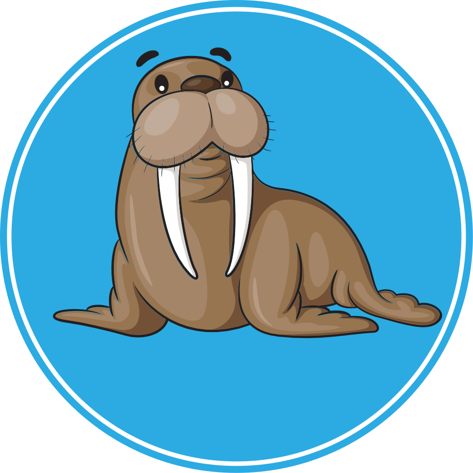 Vinyl teppich tiere mit süßem walross charakter - TenStickers