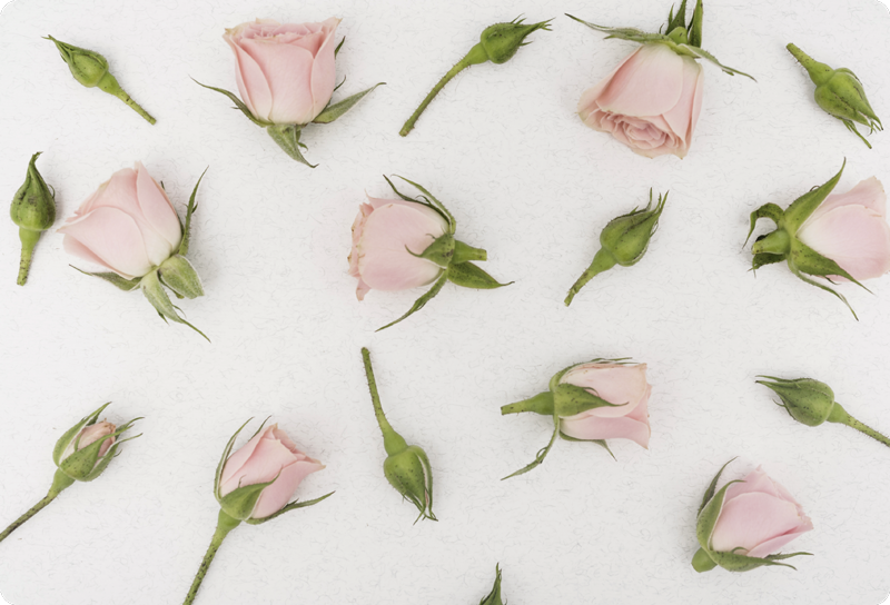 Vinyl teppich blumen romantische frühlingsblüten - TenStickers