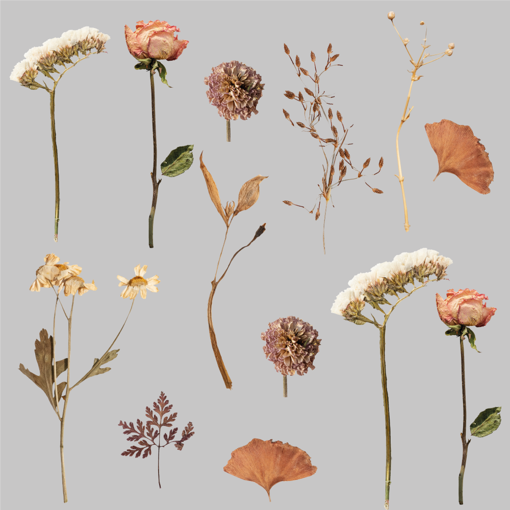 Vinyl teppich blumen mit getrocknetem blattmuster - TenStickers