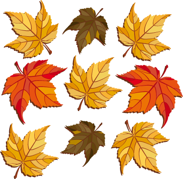 Vinyl teppich natur herbstblätter - TenStickers