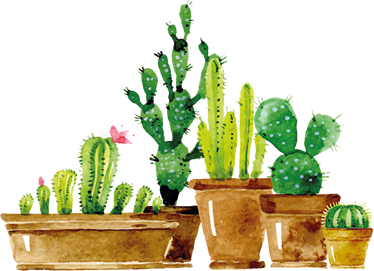 Vinyl teppich blumen selbstgemachter kaktusgarten - TenStickers