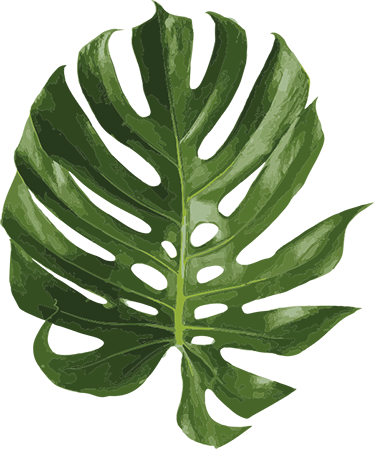 Vinyl teppich blumen mit köstlichem monstera blatt - TenStickers