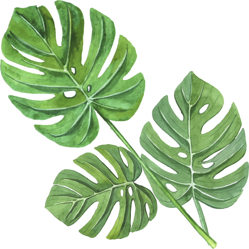 Vinyl teppich blumen mit monstera aquarellblättern - TenStickers
