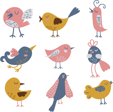 Vinyl teppich kinder mit neun vogel stickern - TenStickers