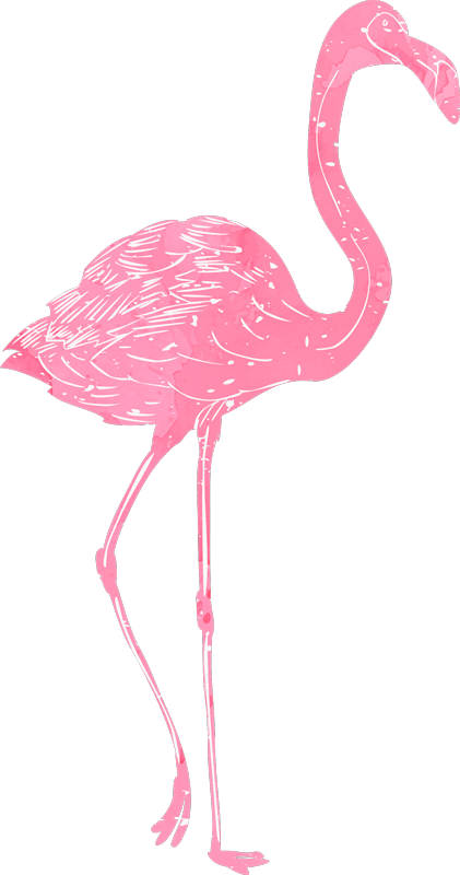 Vinyl teppich schlafzimmer aquarell flamenco - TenStickers