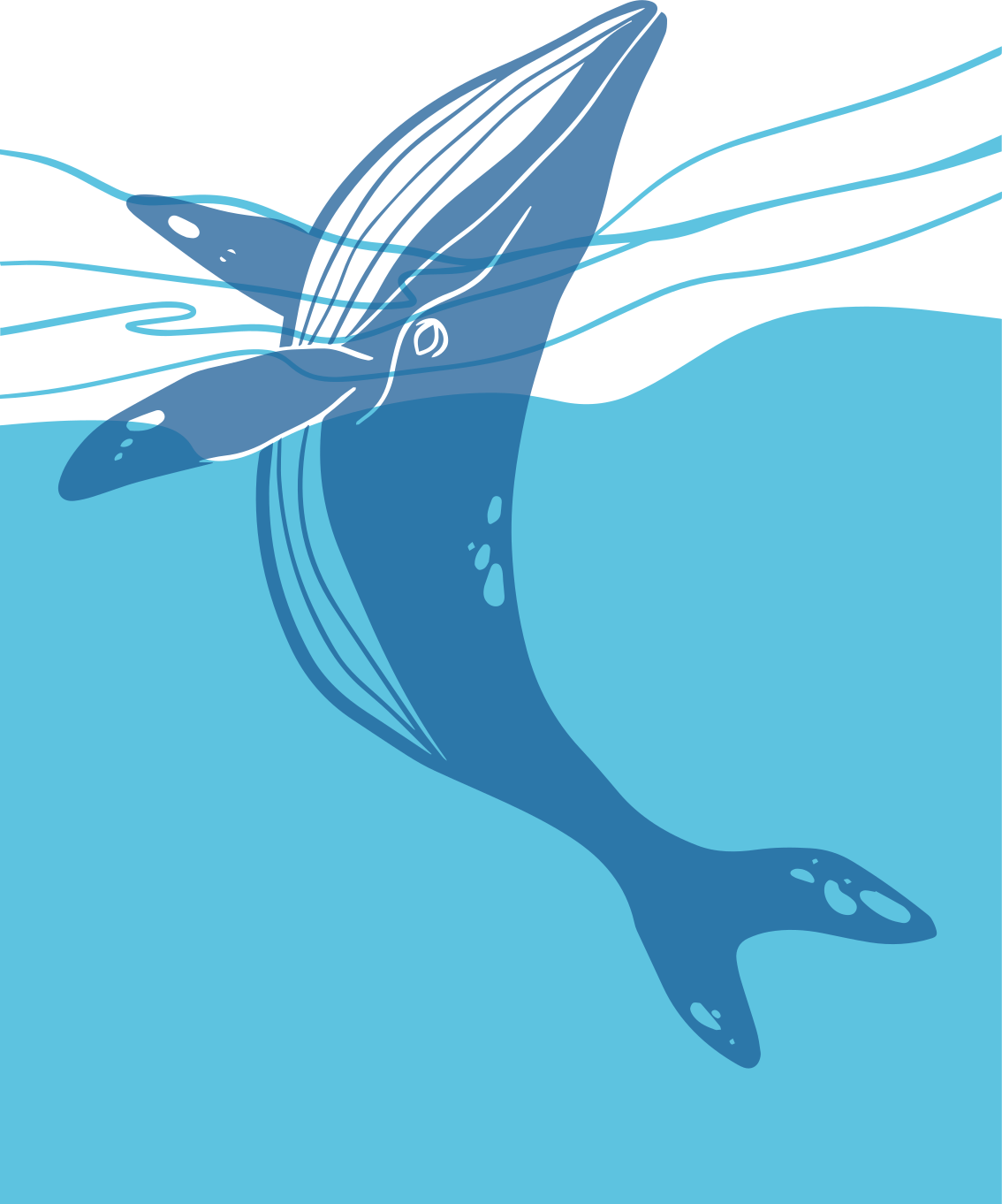 Vinyl teppich bad mit walfisch duschabtrennungsstickern - TenStickers