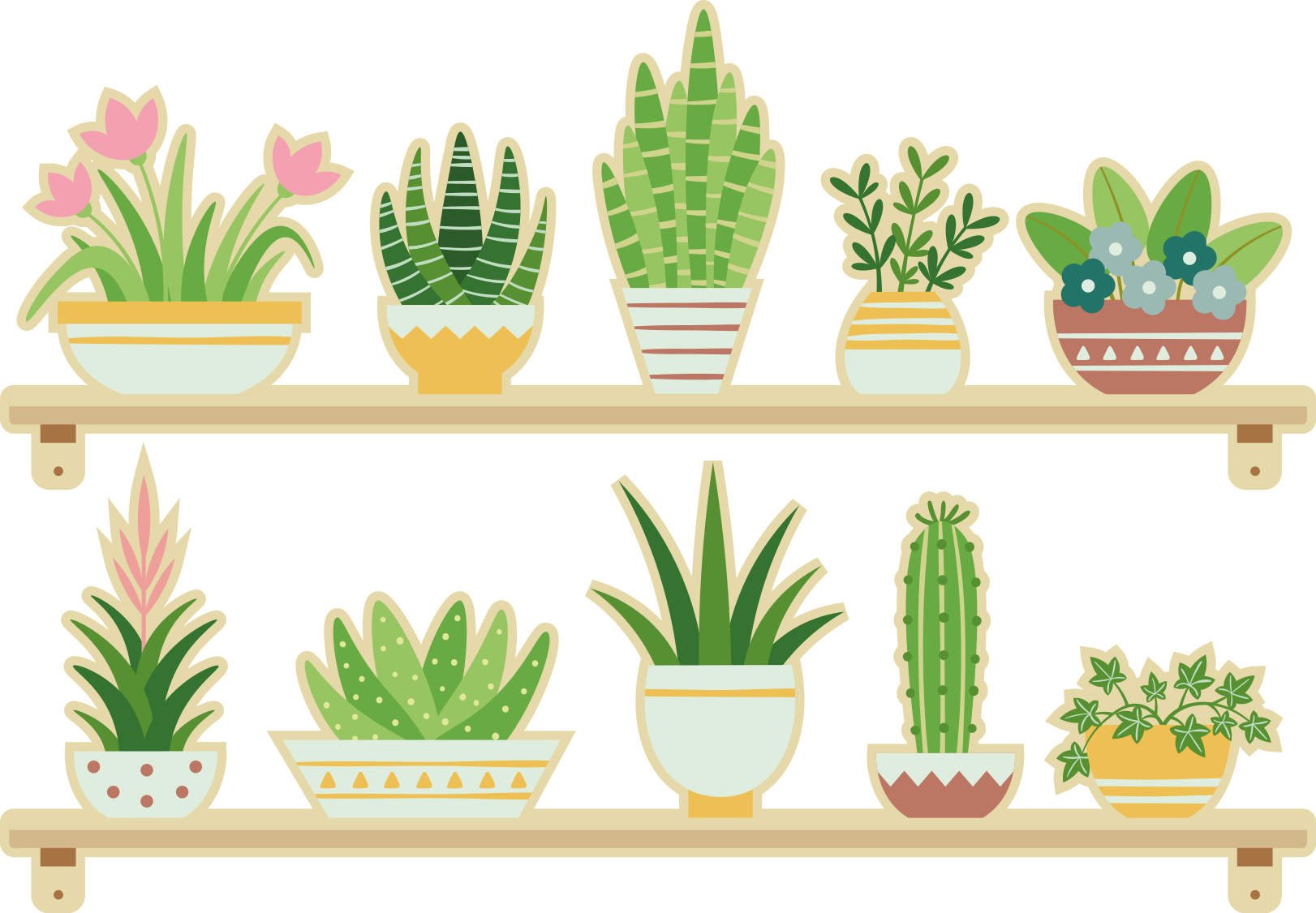 Vinyl teppich küche cactus pflanzenregal set - TenStickers