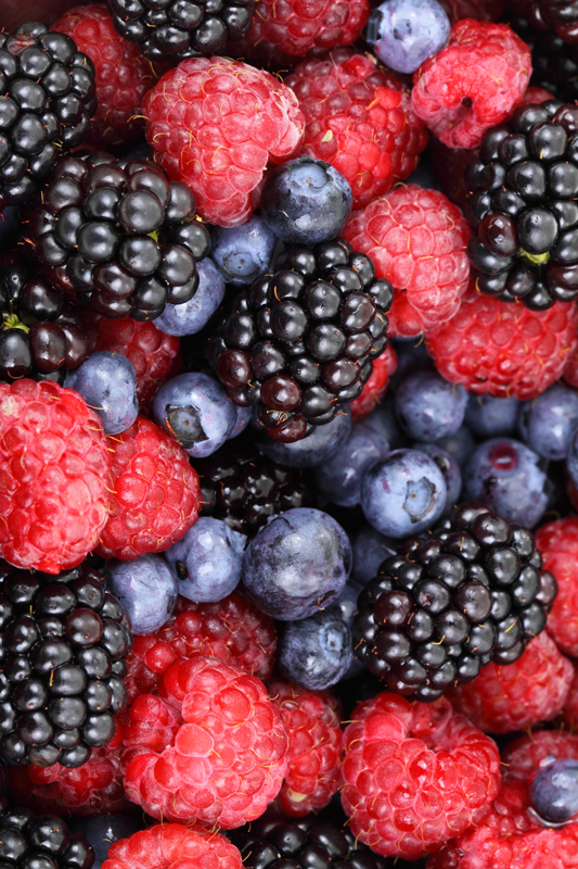 Vinyl teppich küche heidelbeeren - TenStickers