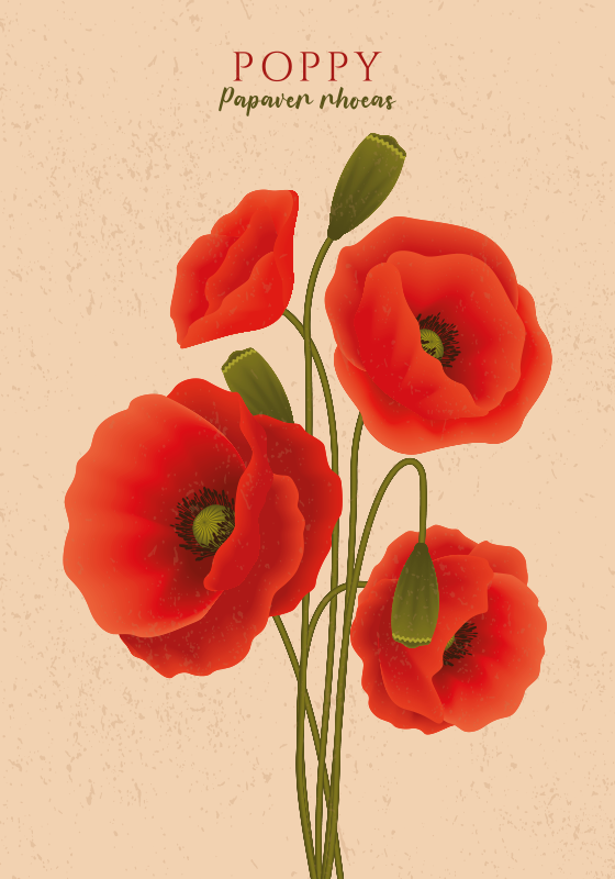 Vinyl teppich blumen mohnblumen - TenStickers