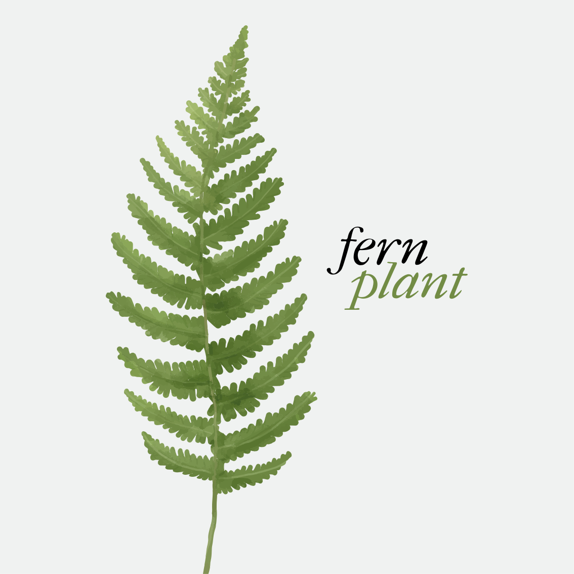 Vinyl teppich spruch fern plant minimalistischer stil - TenStickers