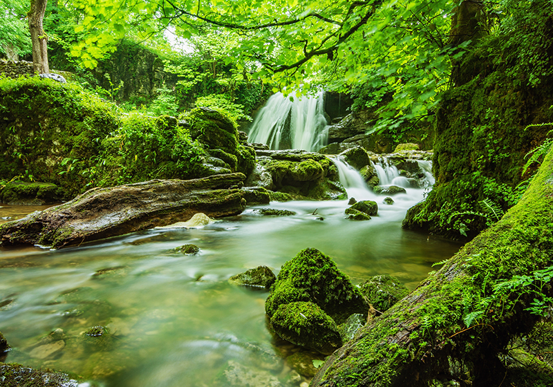 Vinyl teppich grün ruhiger wasserfall - TenStickers