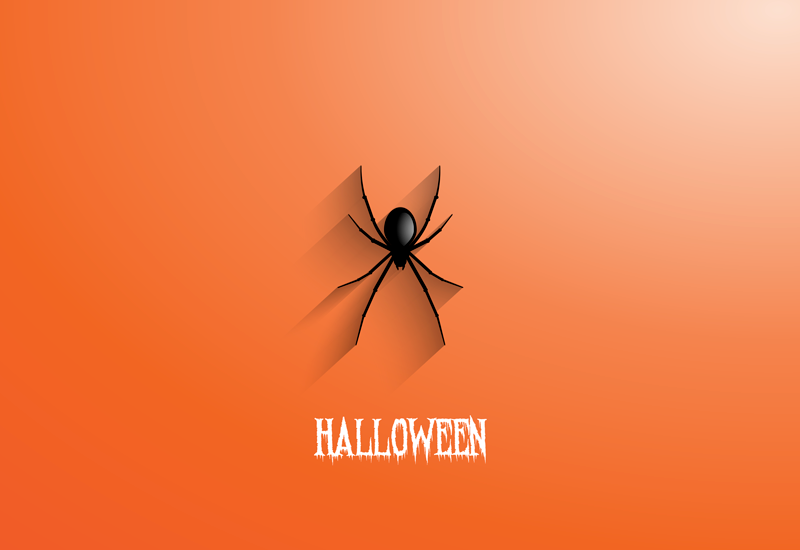 Vinyl Teppich Halloween halloween spinne - TenStickers