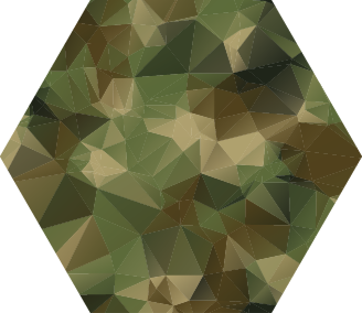 Vinyl Teppich geometrisch geometrisch gemustertes sechseck - TenStickers