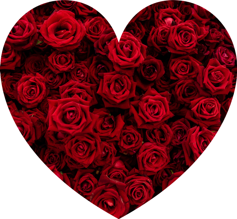 Vinylteppich Blumen Herz voller rosen - TenStickers