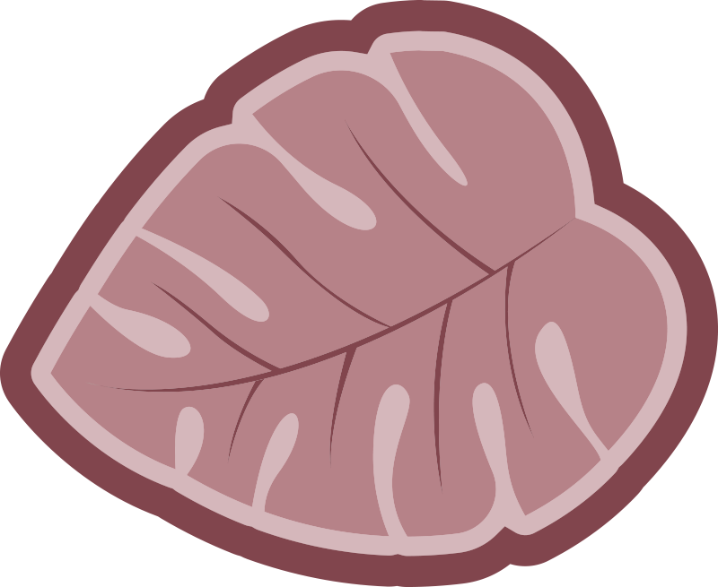 Vinylteppich Blumen Rosa monsterblatt - TenStickers