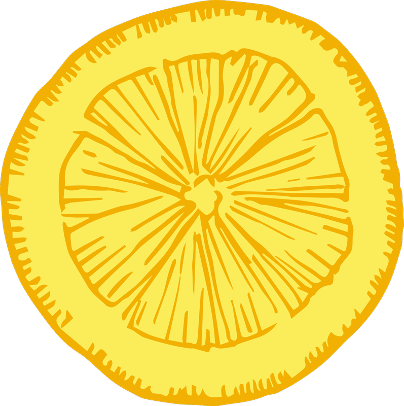 Vinyl Teppich Küche gelbe zitrusscheibe - TenStickers