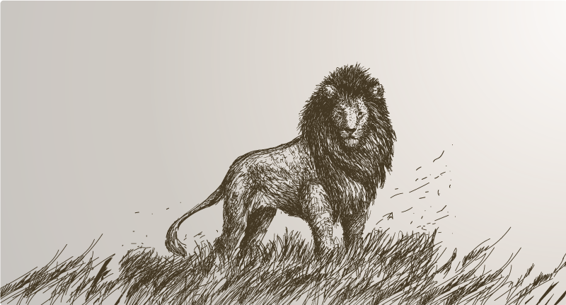 Vinyl Teppich Tiere majestätische löwenreflexion - TenStickers