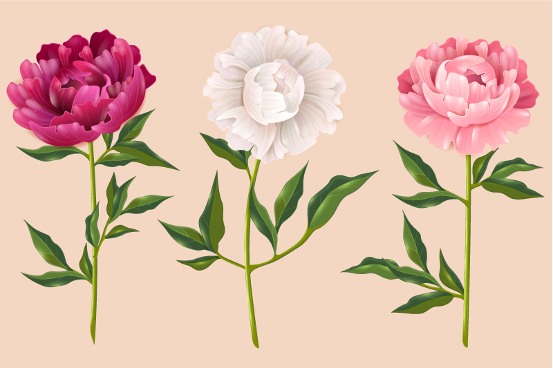 Vinyl Teppich Bad elegantes trio-arrangement - TenStickers