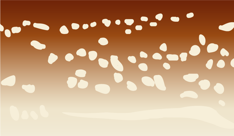 Vinyl Teppich Steinoptik brauner gehweg - TenStickers