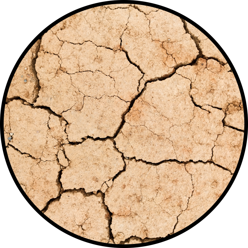 Vinyl Teppich Imitation rissiges erdmuster - TenStickers