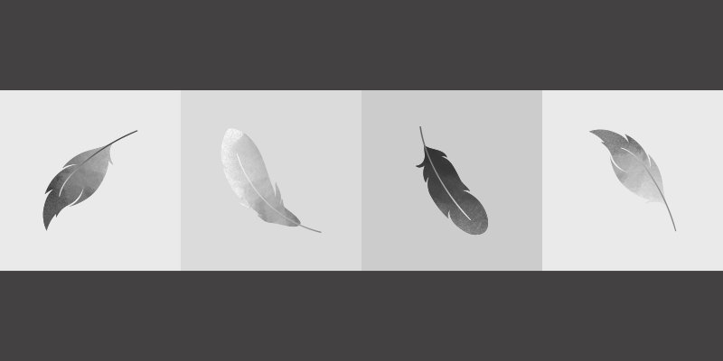 Vinyl Teppich Tiere feder-minimalismus - TenStickers