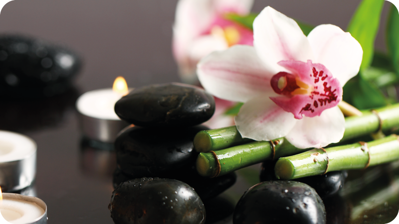 Vinylteppich Blumen Nostalgische orchidee - TenStickers