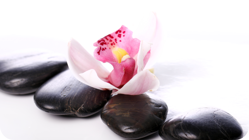 Vinylteppich Blumen Orchidee mit steinen - TenStickers