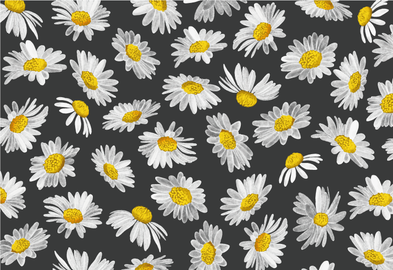Vinyl Teppich Blumen gänseblümchen-grau-motiv - TenStickers